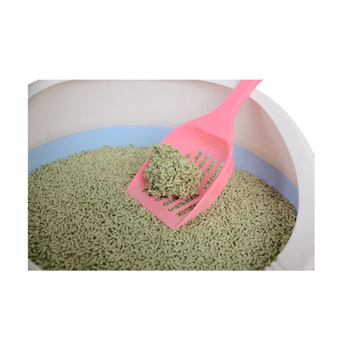 貓砂綠茶2.0